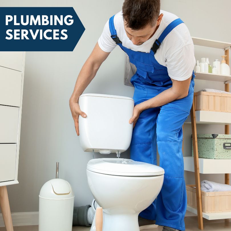 Plumbing Company in Alamo, CA
